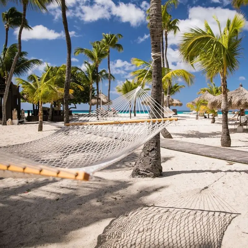 An empty hammock hangs from palm trees at Manchebo Beach Resort in Aruba