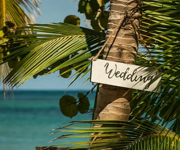 A sign saying Wedding hangs on a palm tree at the beach in the Dominican Republic