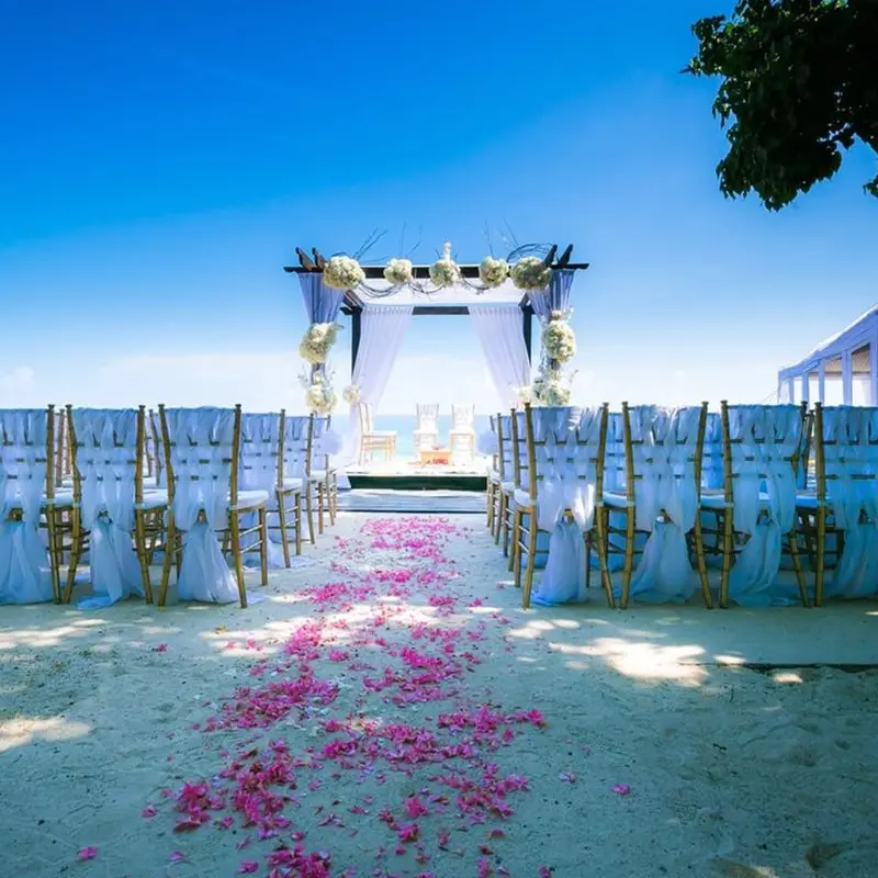 A dark wooden arch covered in white fabric and flowers with pink flower petals leading to it up the aisle with cloth-draped chairs lined up on either side.