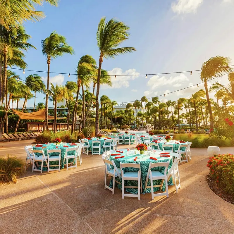 Reception tables are set in a pool deck locale surrounded by palm trees