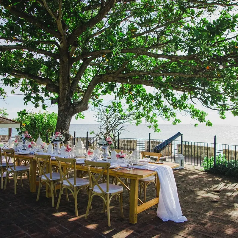 A long table set for a wedding under a large branchy tree.