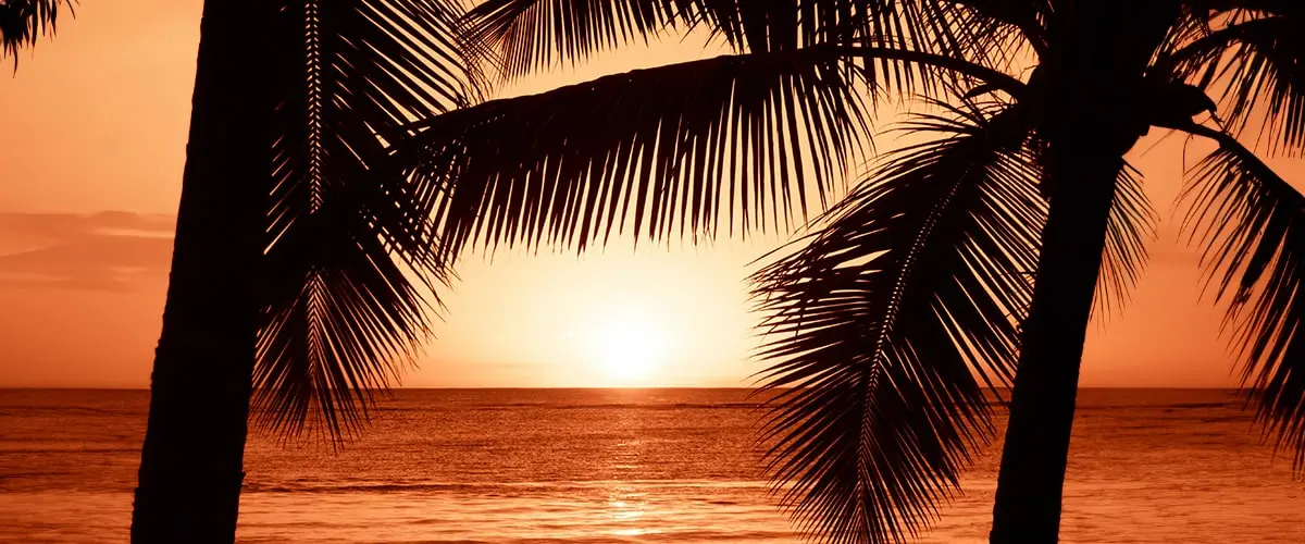 A sunset in Jamaica with backlit palm trees on a beach looking out to the water with the setting sun
