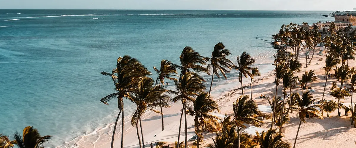 Palm trees swaying on the beaches of the Dominican