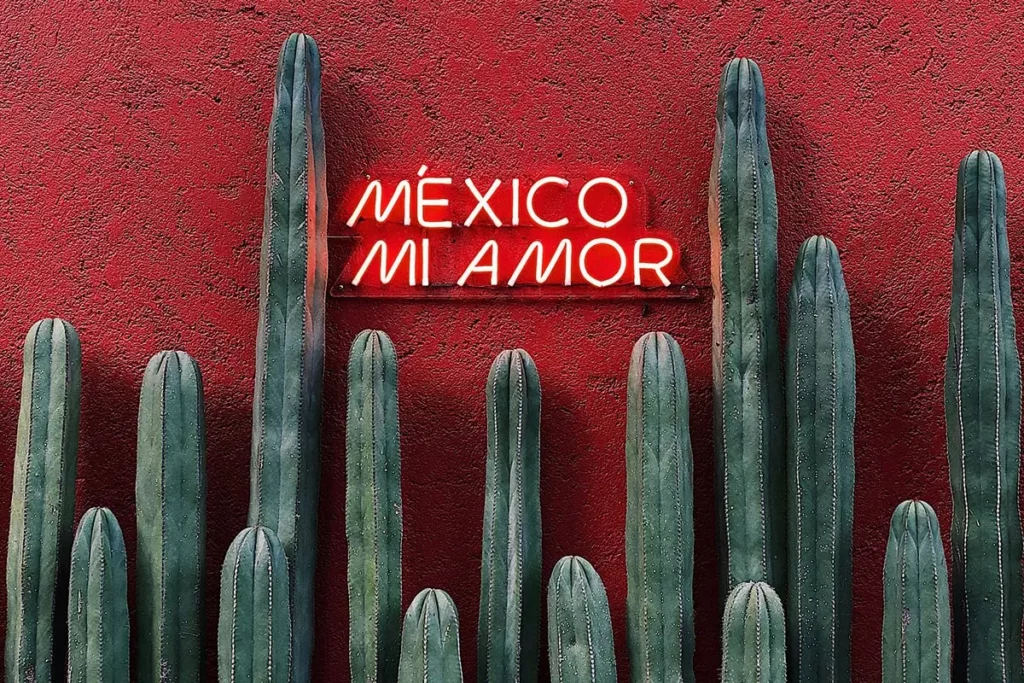A neon sign says Mexico mi amor above a row of cacti